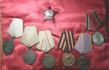 Орден Красной Звезды, Медаль «За боевые заслуги» ,  Медаль «За отвагу» , Медаль "За оборону Сталинграда"