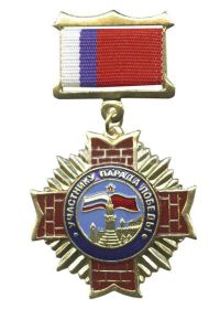 нагрудный знак-медаль "Участник Парада Победы"