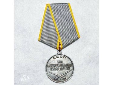 Медаль «За боевые заслуги» Фронтовой приказ №: 139/н от: 16.06.1945  Издан: ВС 5 ВА 2 Украинского фронта /