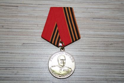 Медаль Жукова Г.К.