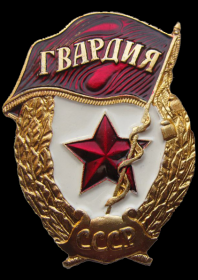 Нагрудный знак "Гвардия"