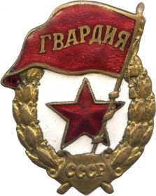 Нагрудный знак "Гвардия"