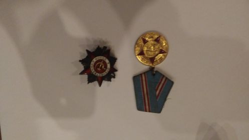 Орден "Красной звезды", Орден "Слава" 3-й степени, медаль "За победу над Германией", медаль "За взятие Берлина"