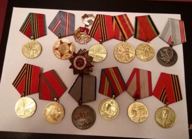 Орден отечественной войны 1 степени, боевая медаль за отвагу, за победу над Японией, За взятие Праги, за победу над Германией, 9 юбилейных медалей