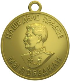 Медаль «За победу над Германией в Великой Отечественной Войне 1941 — 1945 гг.»,,