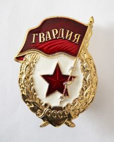 Знак Гвардия СССР