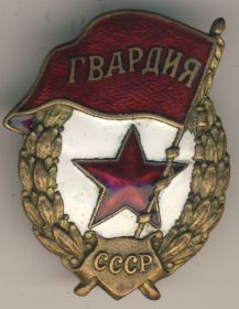 Нагрудный знак "Гвардия СССР"