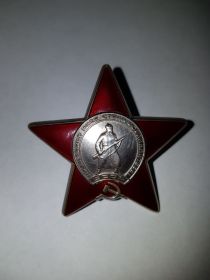 орден "Красной звезды".