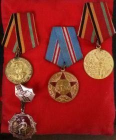 Медалью " 50 лет Вооруженных Сил СССР".