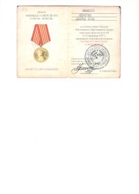 Орден Великой отечественной Войны, медаль Г.К Жукова
