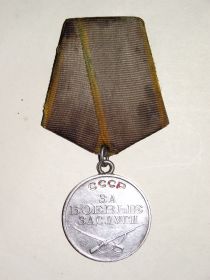 медаль за Боевые заслуги