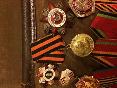 Орден отечественной войны 2 степени ; знак «Фронтовик 1941-1945»; медаль «За победу над Германией в ВОВ 1941-1945гг.»