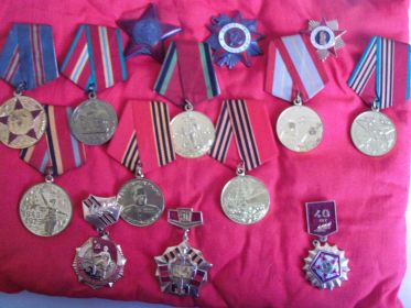 Орден "Красная звезда", многочисленные медали