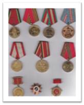 Награжден Медалью за победу над Германией», Получил «Орден Отечественной войны II степени» и юбилейными медалями .