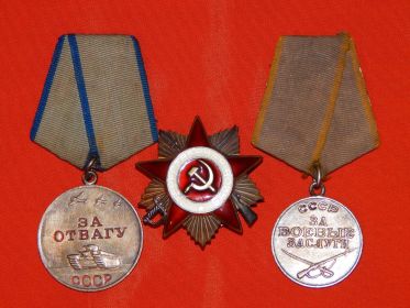 За отвагу. За боевые заслуги. Орден Отечественной войны.