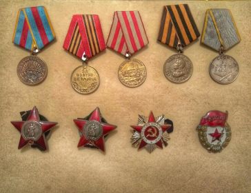 Два орденами Красной Звёзды, Медаль за освобождение Варшавы, Медаль за взятие Берлина, Медаль за оборону Москвы .....