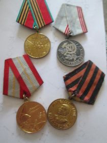 Орден Славы 3-й степени, Орден Отечественной войны, медаль "За победу над Германией" и др.