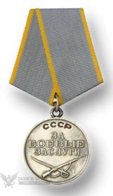 Медаль «За боевые заслуги»