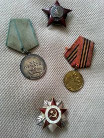 Медаль за освобождение Варшавы (А271286), Медаль за взятие Берлина (А361112), Медаль за победу над Германией Великой (Ж0216198), Ордер Отечественной Войны 2ой степени (5947248
