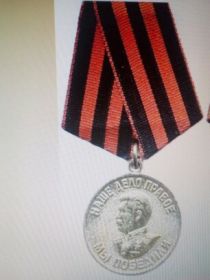 медаль "За Победу над Германией"