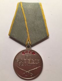 медаль "За боевые заслуги" Приказ командующего Краснознаменной орденов Нахимова и Кутузова Дунайской Флотилией №055 от 19 июля 1945г.