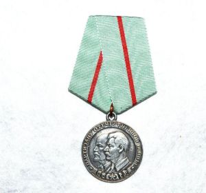 Медали: «Партизан Великой Отечественной войны 1941-1945 гг. I степени»