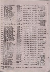 Медаль За Победу над Германией в Великой Отечественной войне 1941-45гг