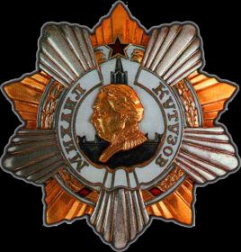 Орден Кутузова 1 степени (№ ордена 792)