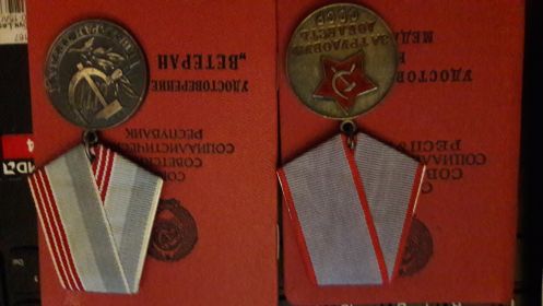 За трудовую доблесть