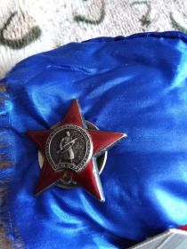 Орден Отечественной войны, Орден Красного Знамени, За Отвагу, за Взятие Кенигсберга
