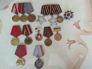 Орден Славы III степени, Орден Славы II степени, Орден Великой Отечественной войны, различные медали