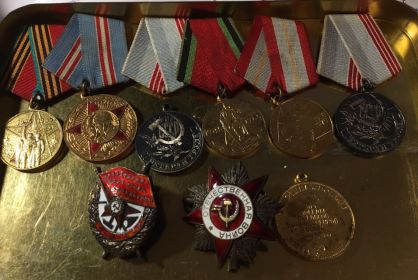 7 медалей, 2 ордена.Орден "Боевого красного знамени";"Отечественной войны II степени"