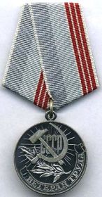 медаль «Ветеран Труда»,