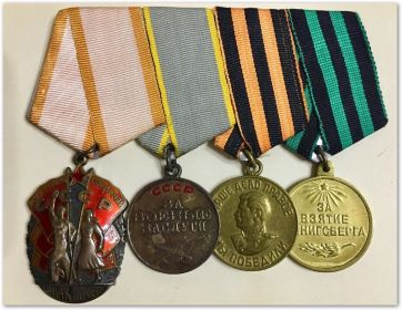 Орден Знак почета и медали: За боевые заслуги, За взятие Кенигсберга, За Победу над Германией