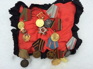медаль "За Боевые Заслуги", медаль "За победу над Германией 1941-1945",орден Отечественной войны IIстепени,юбилейные медали