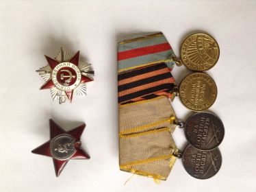 Ордена: " Красной звезды", "Отечественной войны II степени". Медали: " За боевые заслуги" (2), "За освобождение Варшавы", "За победу над Германией в ВОВ".