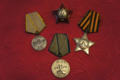 орден "Красная звезда", орден "Слава 3 степени", медаль "За боевые заслуги", медаль "За отвагу"