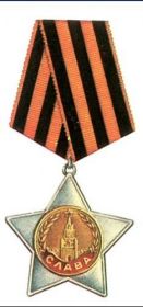 Орден Славы 2 степени