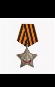2 Ордена славы 3-й степени.