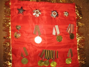 орден "Красная Звезда", 2 ордена "Отечественная война", медали "За взятие Берлина", "За освобождение Праги", "За победу над Германией"