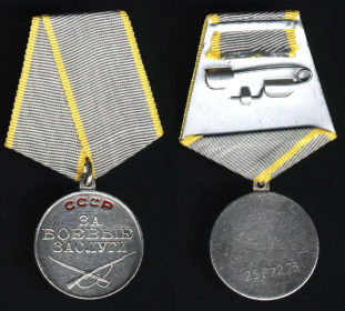 Медаль "За боевые заслуги".