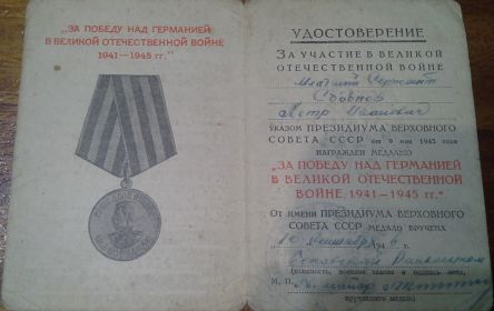 Медаль «За победу над Германией в Великой Отечественной войне 1941-1945»