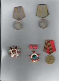2 медали "За боевые заслуги", медаль "За оборону Севастополя", медаль "За победу над Японией", орден Великой Отечественной Войны