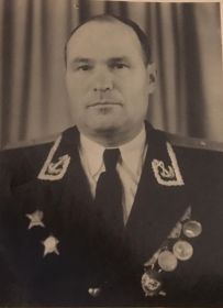 Два ордена Красной звезды, орден боевого Красного знамени, орден отечественной войны 2 степени, медали за победу над Германией и над Японией и другие награды