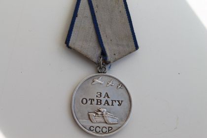 Медаль «За отвагу» Приказ подразделения №: 22/н от: 18.01.1944 Издан: 133 гв. КСП 44 гв. КСД Белорусского фронта Архив: ЦАМО Фонд: 33 Опись: 686044 Ед.хранения: 2876 № записи: 21657397