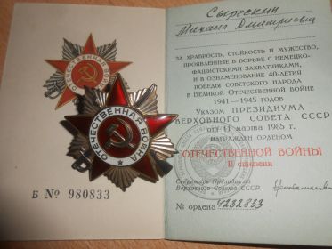 Орден Отечественной войны 2 степени и медалями "За отвагу","За победу над Германией","За победу над Японией".
