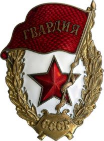 Нагрудный знак "Гвардия"