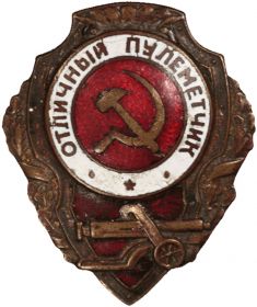 Нагрудный знак "отличник пудеметчик".