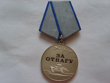 медаль За отвагу  орден Отечесттвенной войны 2 степени