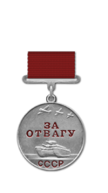 орден "Слава 3-й Степени",  Медаль "За Отвагу"